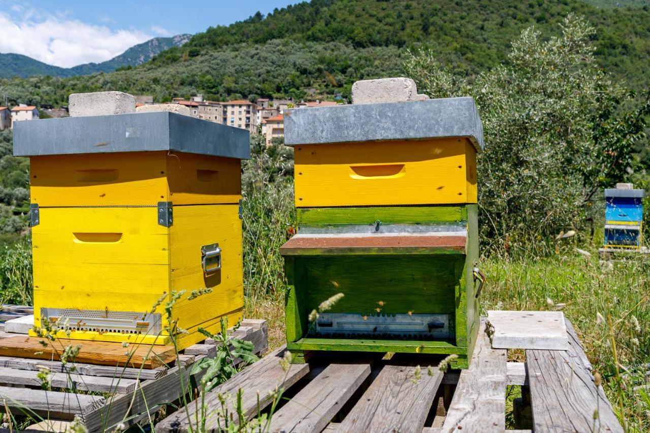 Arvé Castelbianco - B&B e Appartamento Colletta Exterior foto